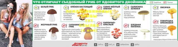 ПСИЛОЦИБИНОВЫЕ ГРИБЫ Арсеньев