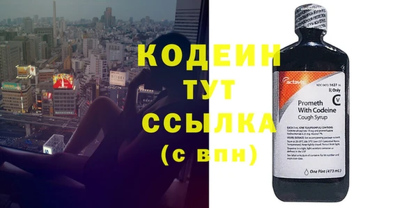 ПСИЛОЦИБИНОВЫЕ ГРИБЫ Арсеньев