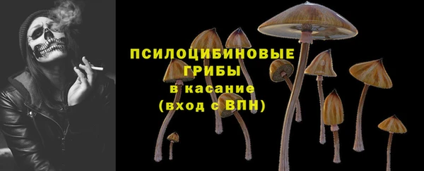 ПСИЛОЦИБИНОВЫЕ ГРИБЫ Арсеньев